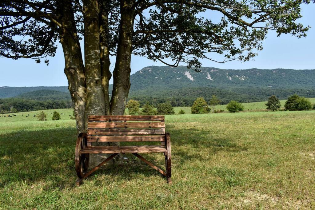 Holly Tree Retreat Located In Beautiful Luray, Va. Βίλα Εξωτερικό φωτογραφία