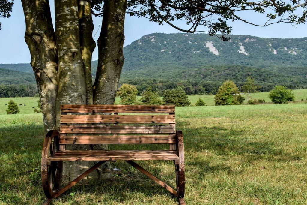 Holly Tree Retreat Located In Beautiful Luray, Va. Βίλα Εξωτερικό φωτογραφία