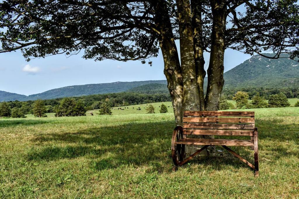 Holly Tree Retreat Located In Beautiful Luray, Va. Βίλα Εξωτερικό φωτογραφία