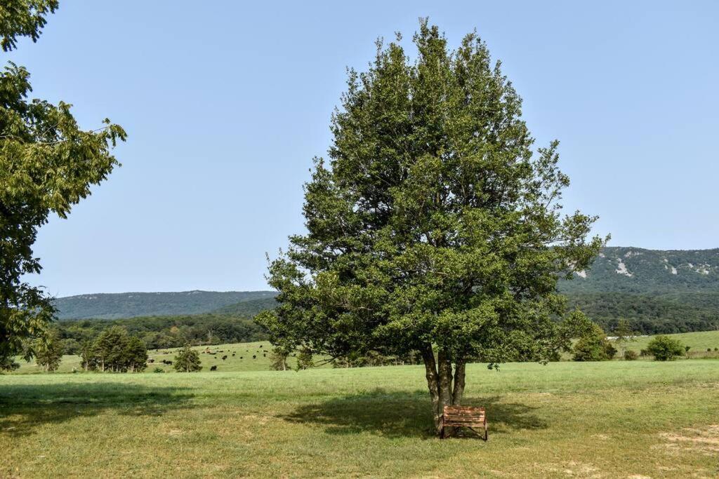 Holly Tree Retreat Located In Beautiful Luray, Va. Βίλα Εξωτερικό φωτογραφία